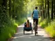 fahrradanhaenger-einrad-die-loesung-fuer-schmale-wege-und-hohe-flexibilitaet