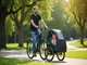 fahrradanhaenger-mit-babyschale-sicherheit-und-komfort-ab-dem-ersten-tag