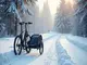 fahrradanhaenger-winter-guide-sicher-fahren-bei-schnee-und-eis